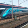 TPT 802 219 at York