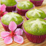 Matcha Petite Cupcakes