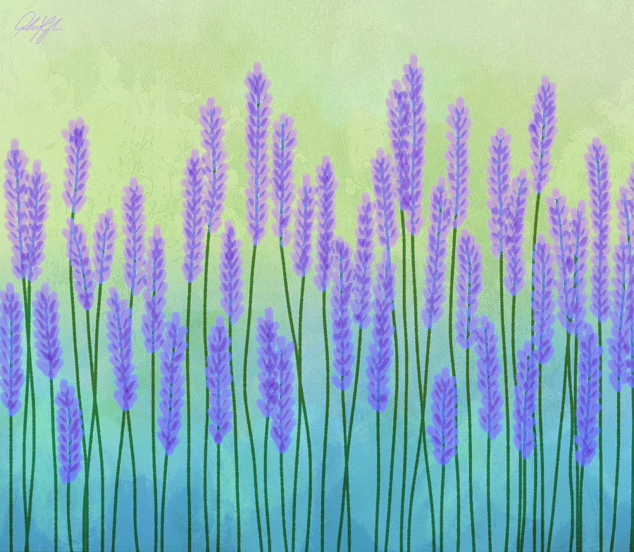 Lavender Paradise 2