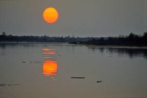 Puszta Sunset