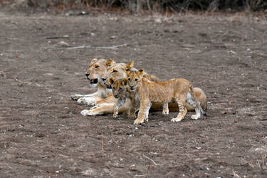 Three generations