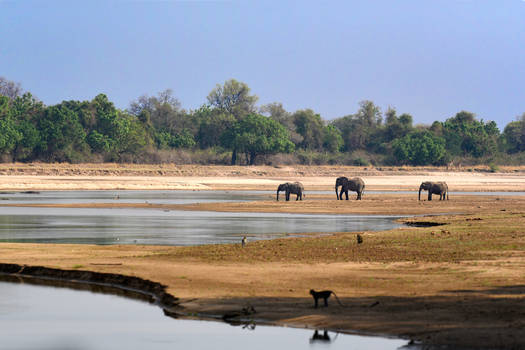 Scenery, with a few elephants thrown in