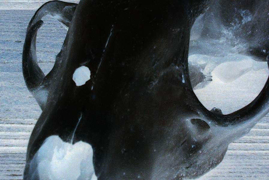 Head Trauma by RosesWebofNightmares on DeviantArt