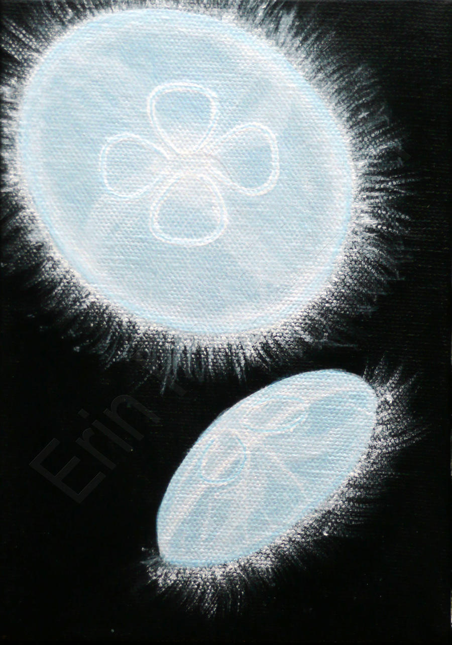 Moon Jellies by RosesWebofNightmares on DeviantArt