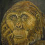 Gigantopithecus Portrait