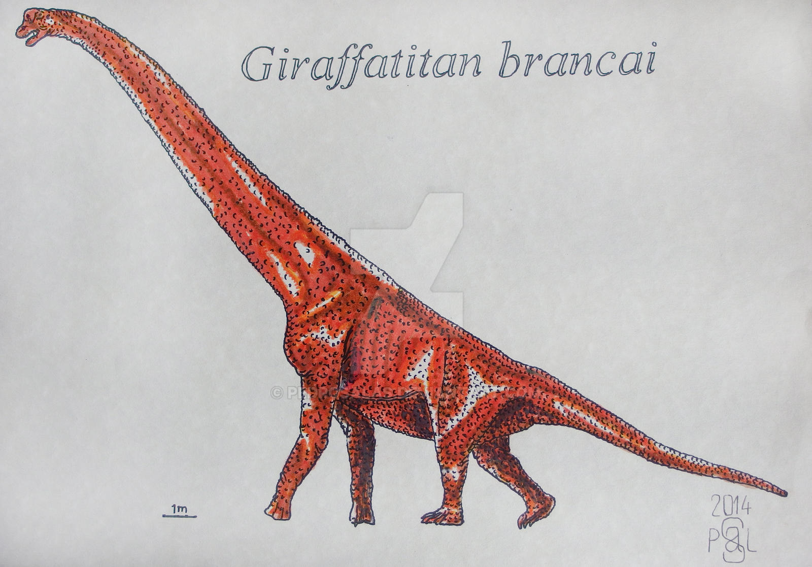 Giraffatitan brancai