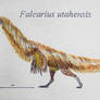 Falcarius utahensis