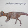 Archaeoceratops sp.