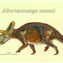 Albertaceratops nesmoi
