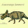 Avaceratops lammersi