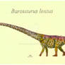 Barosaurus lentus