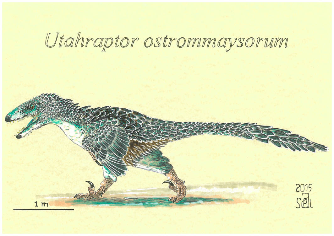 Utaraptor Utahraptor ostrommaysorum by PedroSalas on DeviantArt