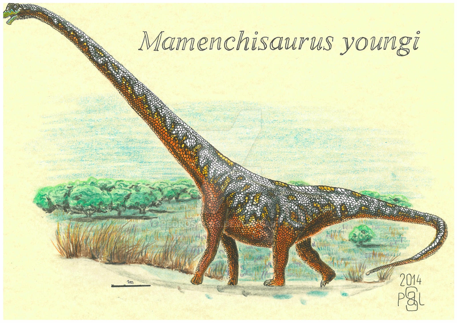 Mamenchisaurus youngi by PedroSalas on DeviantArt