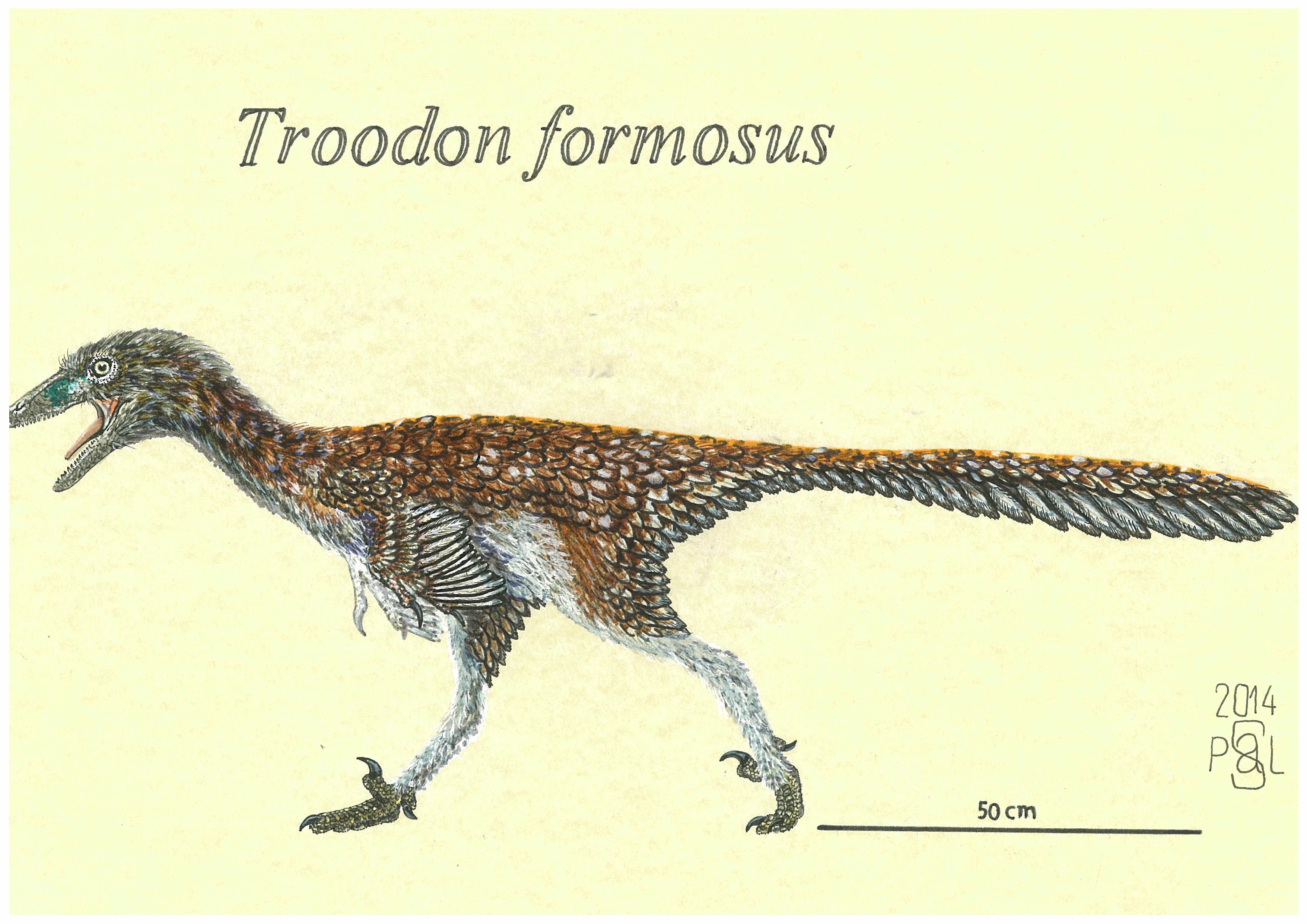 Troodon Formosus 2 By PedroSalas On DeviantArt troodon-formosus-2-by-pedrosalas-on-deviantart