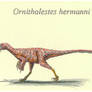 Ornitholestes hermanni