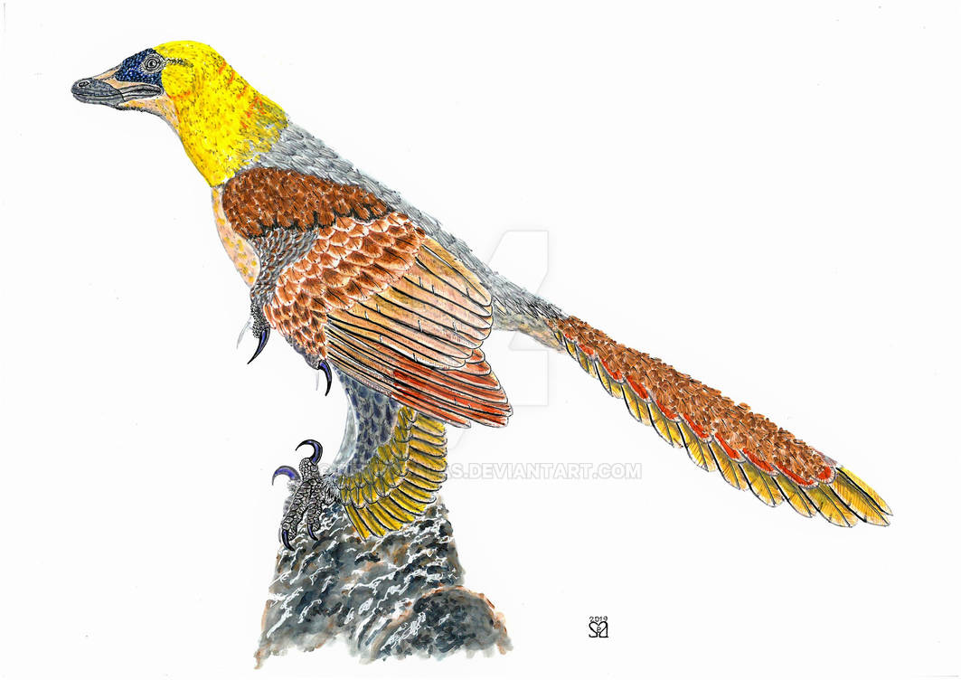 Sinornithosaurus Sinornithosaurus millenii by PedroSalas on DeviantArt