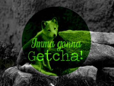 Getcha!