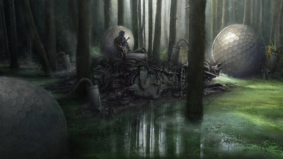 Into the woods