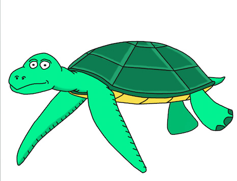 Sam Turtle Deviantart Sam the Sea Turtle by Uranimated18 on DeviantArt