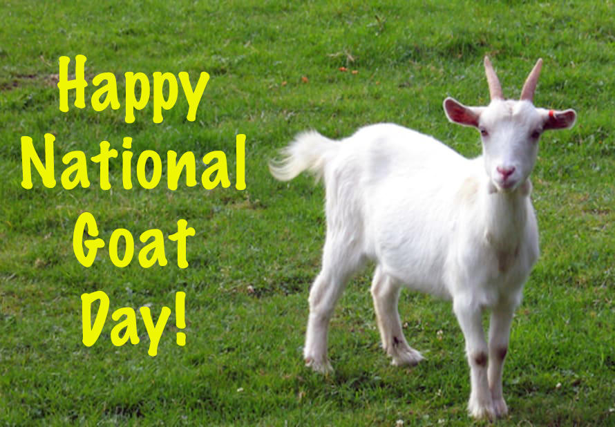 Happy National Goat Day! by Uranimated18 on DeviantArt