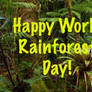 Happy World Rainforest Day!