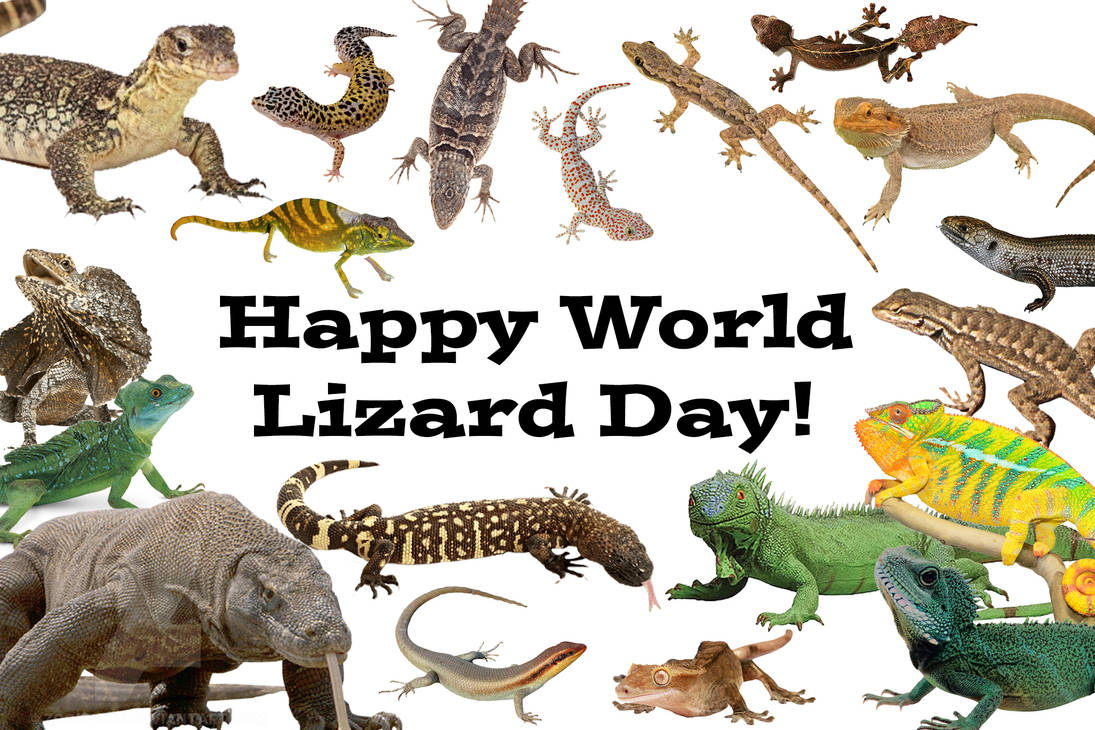 Happy World Lizard Day! by Uranimated18 on DeviantArt