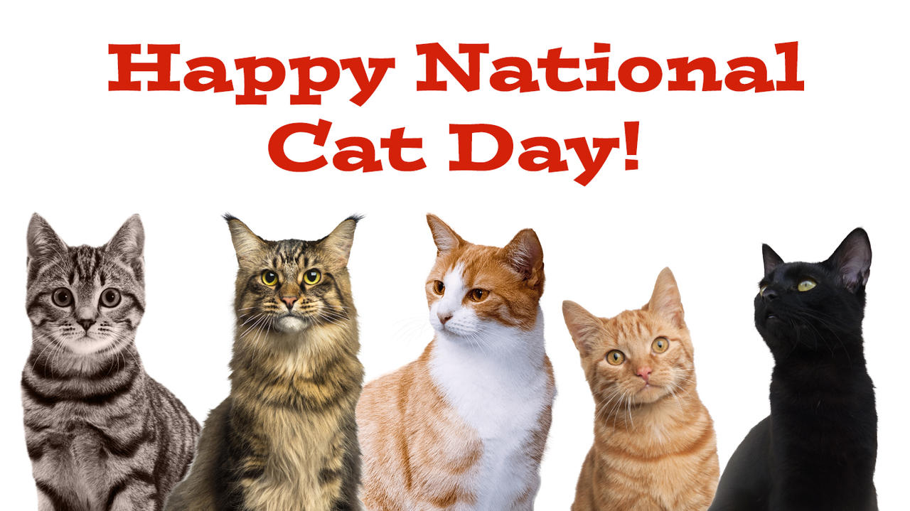 Happy National Cat Day! by Uranimated18 on DeviantArt