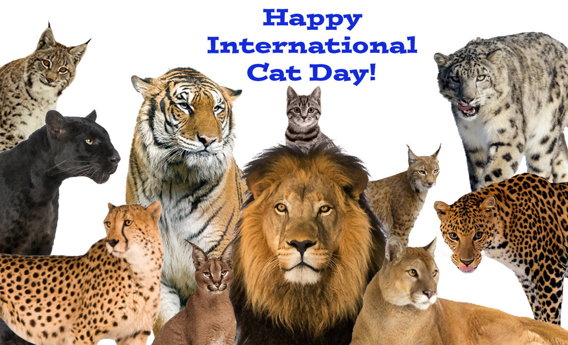 International Cat Day: Os 10 felinos mais legais dos games!