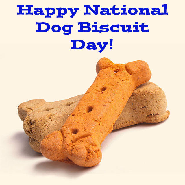 National Dog Biscuit Day 2025