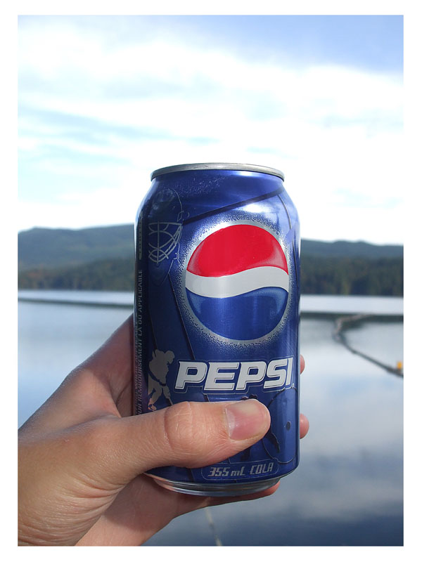 Pepsi Cola, Support the best.