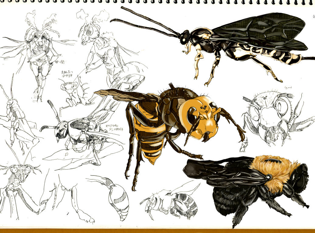 Insect in Japan by inubiko on DeviantArt