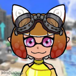 Gameoverse Splatoon edition Kit