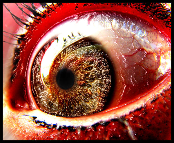 Eye serie 41