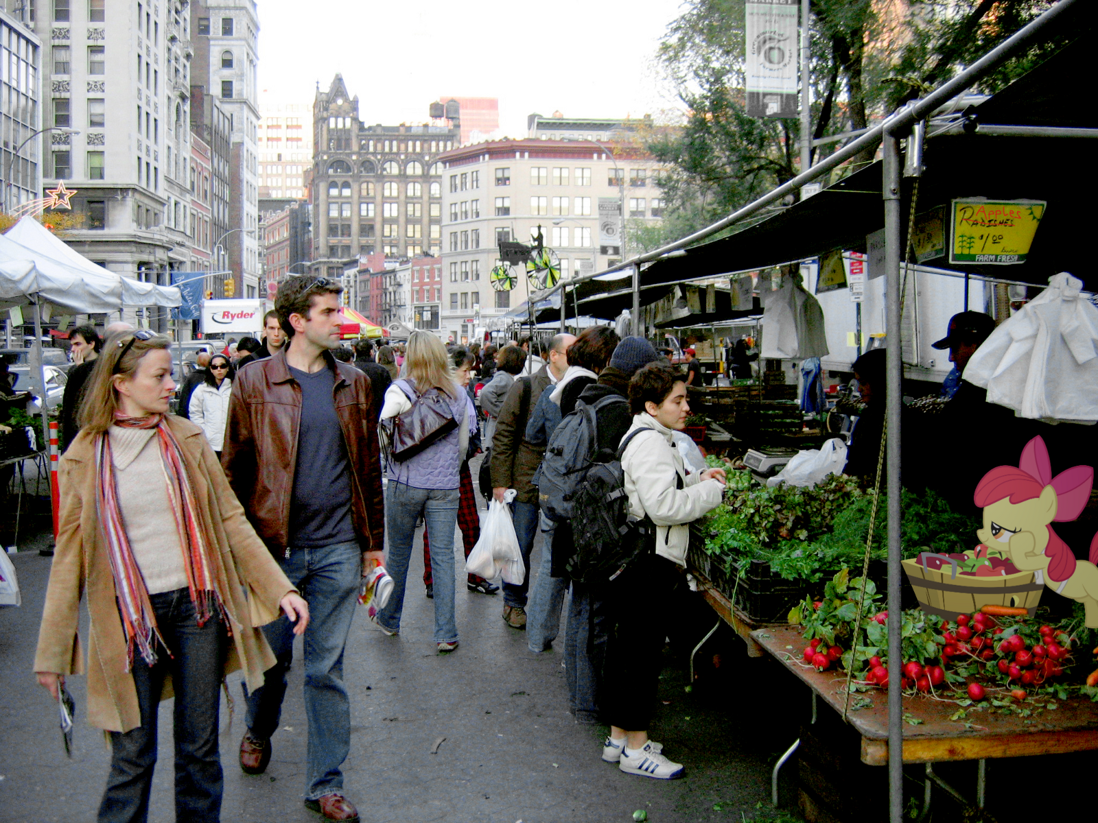 Applebloom in the Market