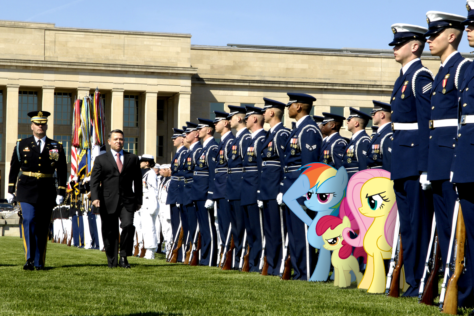 Ponies and Marines