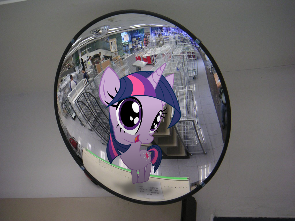 Twilight's Curiosity