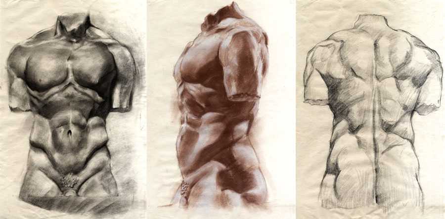 Male torso bust studies