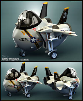 F-14 Jolly Rogers Junior