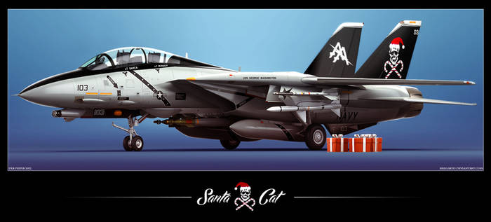 F-14D Santa Cat