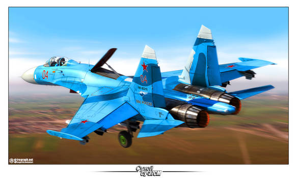 Su-27SM '04'