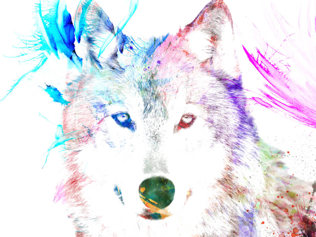 Цветные картинки волка. Волк акварелью. Волк рисунок цветной. Волк обои. Волк иллюстрация акварель.