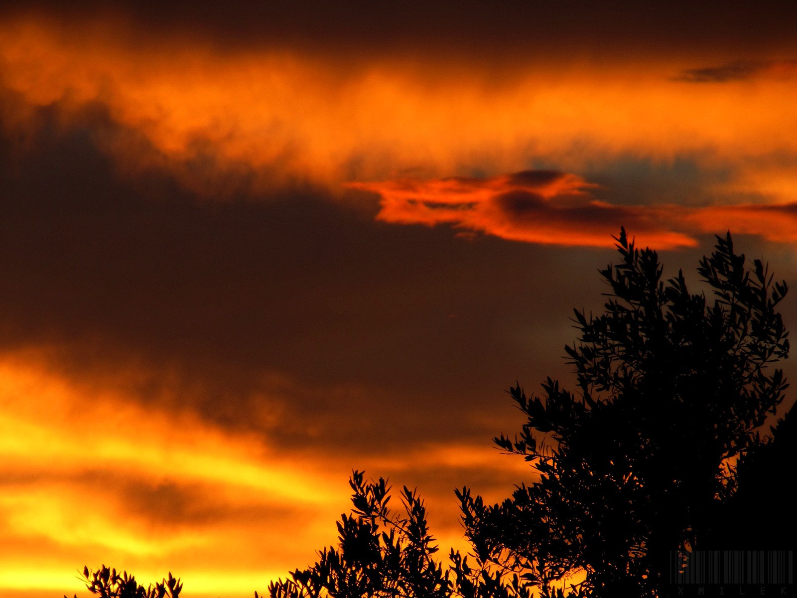 Clouds at Sunset