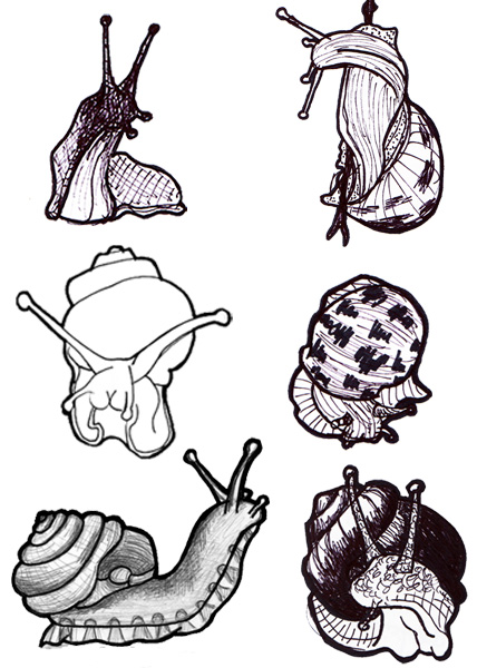Sketches: snails