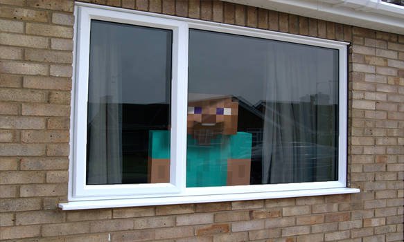 WindowSteve