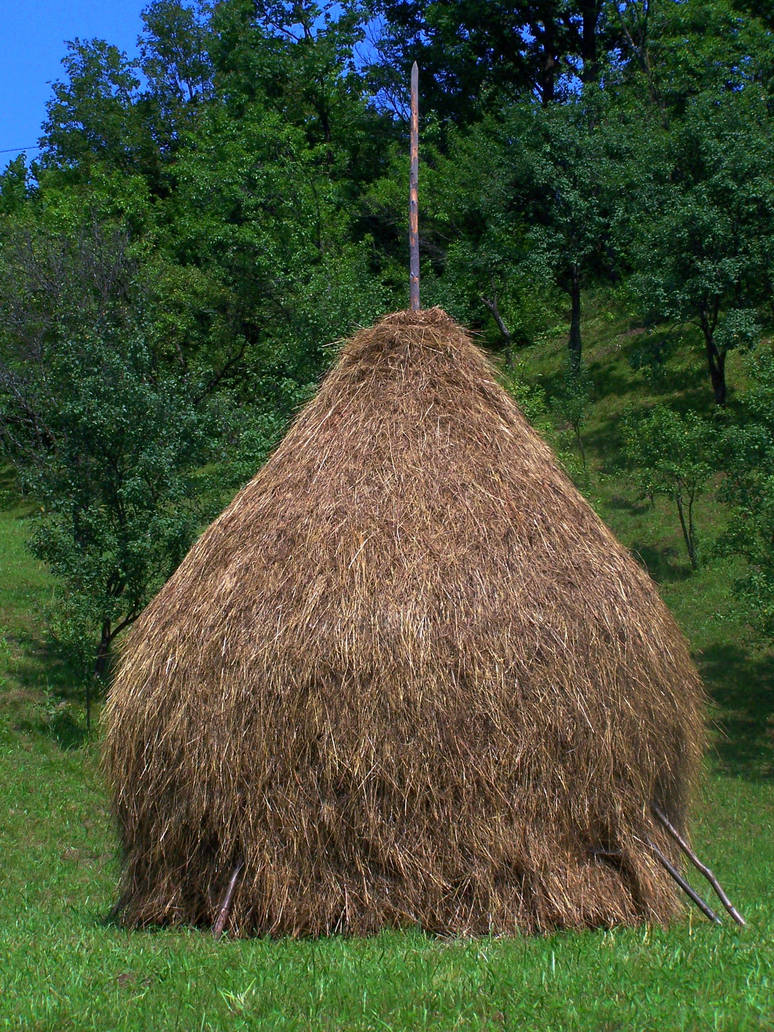 Haystack by ANDROXA on DeviantArt