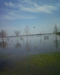 Bpark flooded