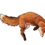 Fox | Gift