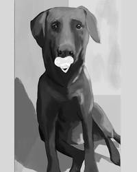 Labrador Commission