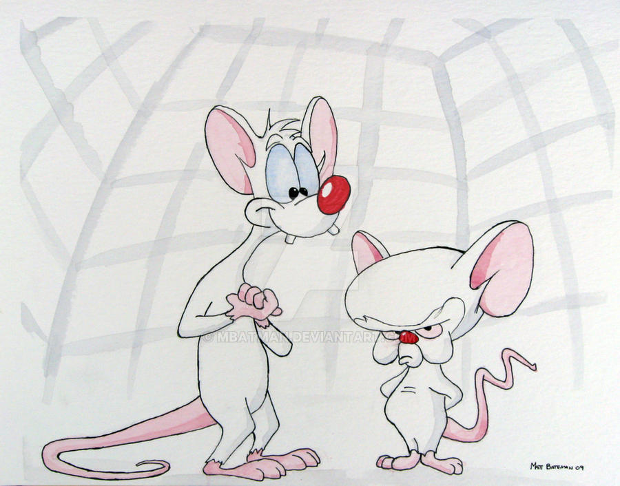 Pinky and the Brain.