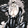 black Cat